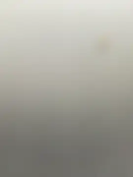 B meliodas online show from 11.04.25