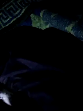 Snapshot of Darkkknet chatting on 11.09.25 Darkkknet online show from 11.09.25