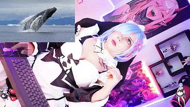 Snapshot of Noha-- chatting on 11.17.25 Noha-- online show from 11.17.25