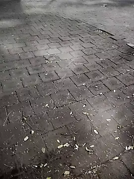 Snapshot of Javierba18301bak chatting on 01.09.26 Javierba18301bak online show from 01.09.26