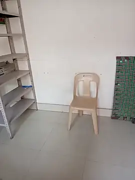 Sunita-collage online show from 11.22.25