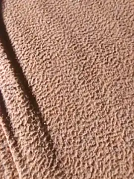 Snapshot of WillfulVideo chatting on 02.07.26 WillfulVideo online show from 02.07.26