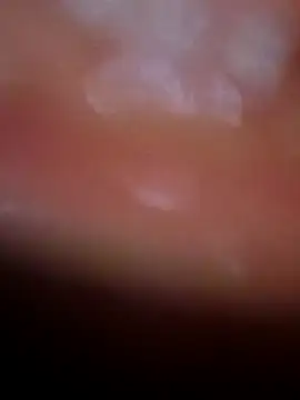 Nisha Hindi online show from 11.25.25