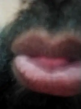 hyderabad single online show from 11.24.25