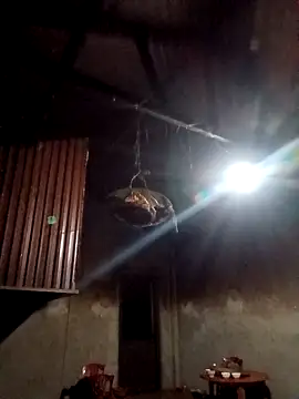 blonde blg online show from 02.12.26