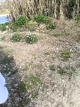 Snapshot of marchigiana chatting on 02.26.26 marchigiana online show from 02.26.26