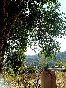 -Chua-90 online show from 02.20.26