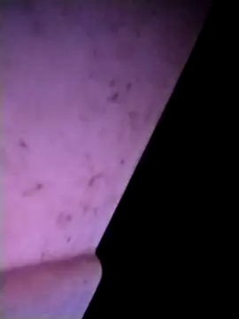 Snapshot of m-mbae chatting on 02.25.26 m-mbae online show from 02.25.26