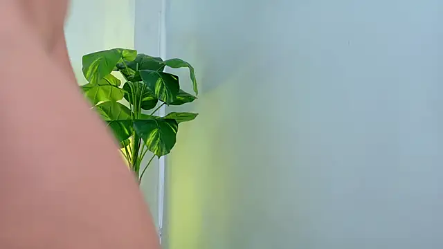 Anastasia gb online show from 03.05.26