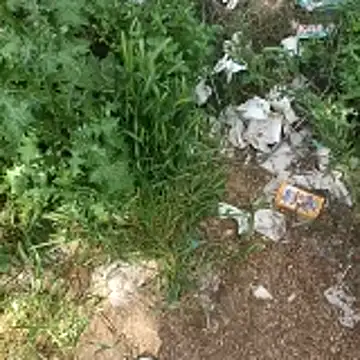 topman      online show from 04.19.26