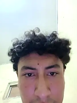 Novato o online show from 03.11.26