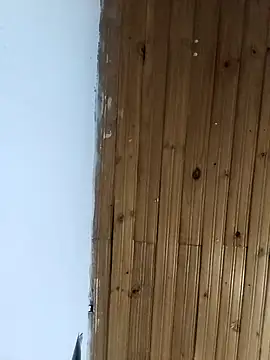 la beba20 online show from 01.11.26