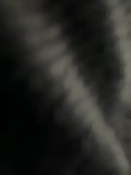 Snapshot of kangro_80 chatting on 12.01.25 kangro 80 online show from 12.01.25