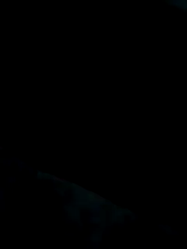 Snapshot of Heterobusca chatting on 11.20.25 Heterobusca online show from 11.20.25