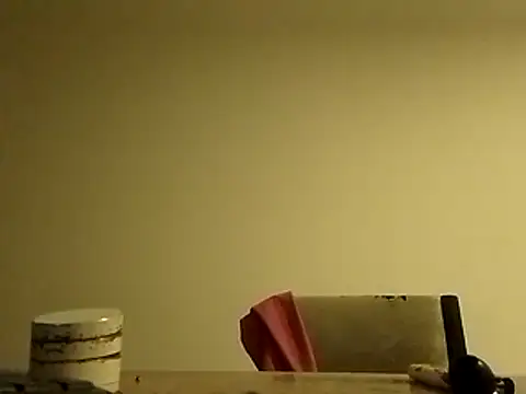 Snapshot of roddyron1n chatting on 11.13.25 roddyron1n online show from 11.13.25