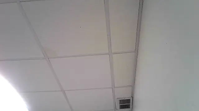 Redheadstud online show from 03.06.26