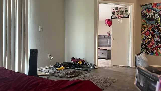 stellakobra online show from 03.22.26