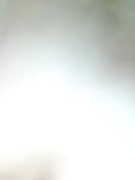 Snapshot of Pxrani chatting on 11.17.25 Pxrani online show from 11.17.25