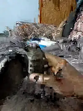 Snapshot of spermc chatting on 02.06.26 spermc online show from 02.06.26