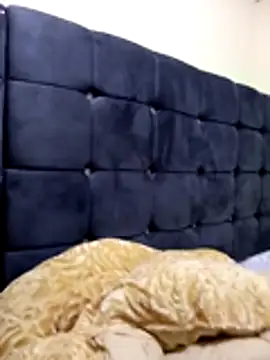 honeypot224 online show from 03.16.26