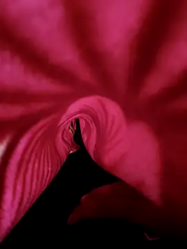 DesiAnita3693 online show from 11.21.25