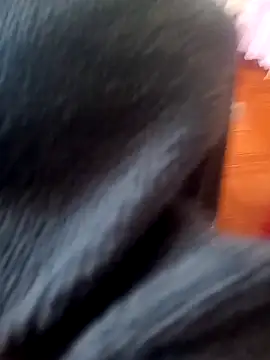 Snapshot of Jeison0323 chatting on 02.25.26 Jeison0323 online show from 02.25.26