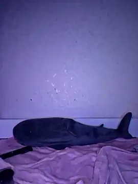 carolinakis  online show from 12.18.25