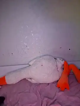 carolinakis  online show from 02.20.26