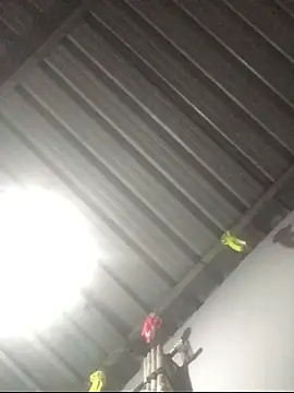 sexguruxxx online show from 01.11.26