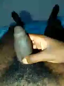 dicksosmall online show from 11.21.25