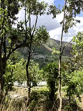 Cute Lucky online show from 04.09.26