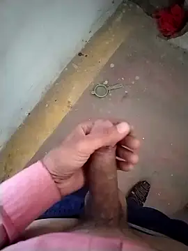 GDwrzsc2bfc online show from 11.29.25