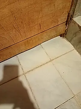 Snapshot of MLis27664@xh chatting on 03.02.26 MLis27664xh online show from 03.02.26