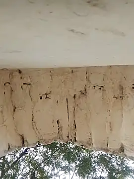 Xxx suhana online show from 11.27.25