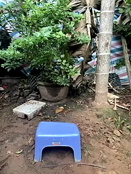 Snapshot of XndSeraphina chatting on 12.03.25 XndSeraphina online show from 12.03.25