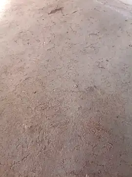 Snapshot of Nandani-758 chatting on 12.02.25 Nandani-758 online show from 12.02.25