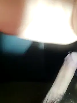 dieterrpuebl online show from 12.22.25