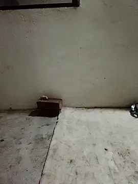 Sunenabhabh online show from 04.05.26