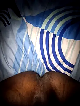 277T online show from 12.15.25