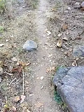 desi alpha boy online show from 01.16.26