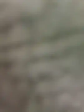 slutty medstudent online show from 11.23.25