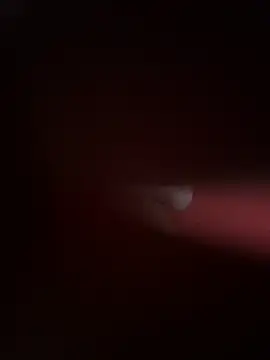 Snapshot of PartiedOmelet chatting on 11.24.25 PartiedOmelet online show from 11.24.25