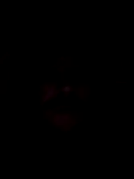 Snapshot of poeperke2830 chatting on 11.26.25 poeperke2830 online show from 11.26.25