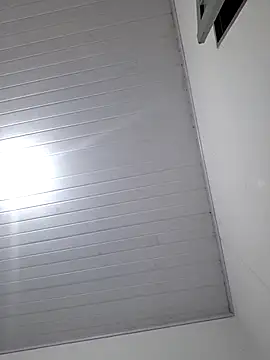 Todinhasua1 online show from 11.27.25