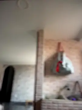 -Nala online show from 12.02.25