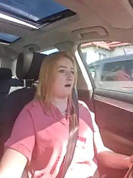 Snapshot of dixielarys chatting on 04.06.26 dixielarys online show from 04.06.26