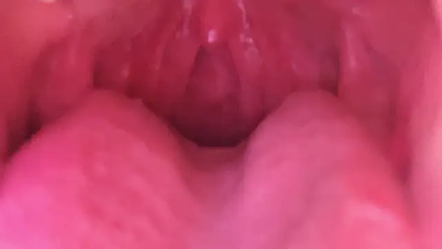 LT-333 online show from 01.18.26