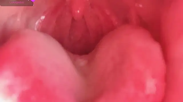 LT-333 online show from 02.10.26