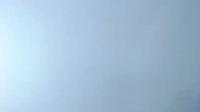 Chelseadow online show from 12.17.25