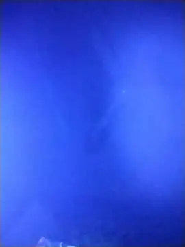 Snapshot of qaarlyfogosa chatting on 02.11.26 qaarlyfogosa online show from 02.11.26